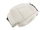 42949935 - : F Cover for GM Image