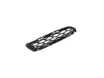 68307813AA - Frame, Bumper and Fascia: Fascia Grille, Left for Dodge: Durango Image