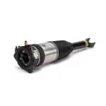 AS2969 - : Arnott Air Suspension Strut for Arnott Image
