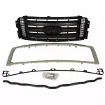 9L3Z8200BPTM - Body: Grille for Ford: F-150 Image