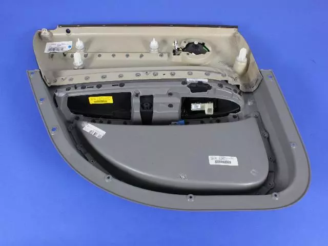Rear Door Trim Panel, Right - Mopar (1LP501DBAA)