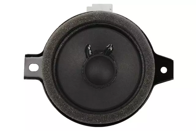 Front Center Radio Speaker - ACDelco (84448779)