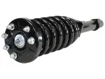 813101 - : Honda (3.5) Suspension Strut and Coil Spring Assembly  - Front Left for GSP Image
