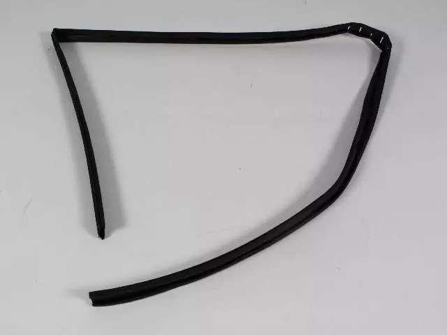 Glass Channel Run Weatherstrip - Mopar (55395174AA)