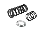 85583616 - : Coil Spring for GM Image