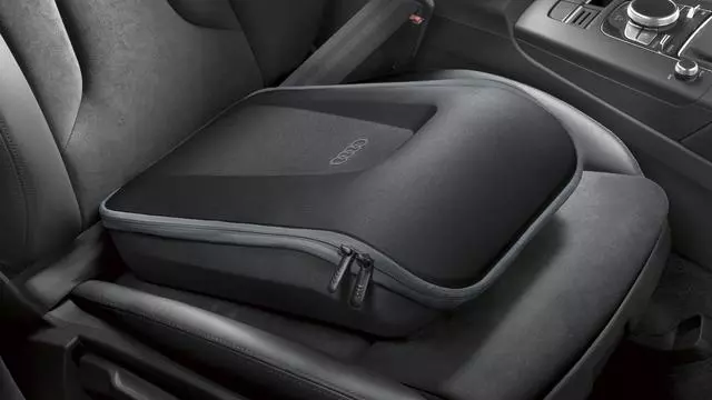 Business Storage Bag - Black - Audi (000-087-316-C)