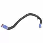 FL3Z6C646A - : 2015-2016 Ford F-150 - Lower Hose for Ford: F-150 Image