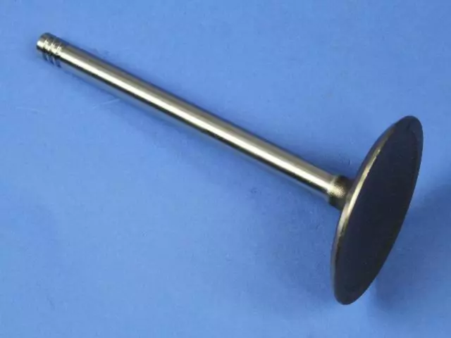 53021550AA - : Intake Valve for Mopar Image