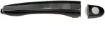 81946 - : Exterior Door Handle Front Left W/ Keyhole for Dorman Image