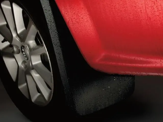 Dodge Grand Caravan Molded Splash Guards