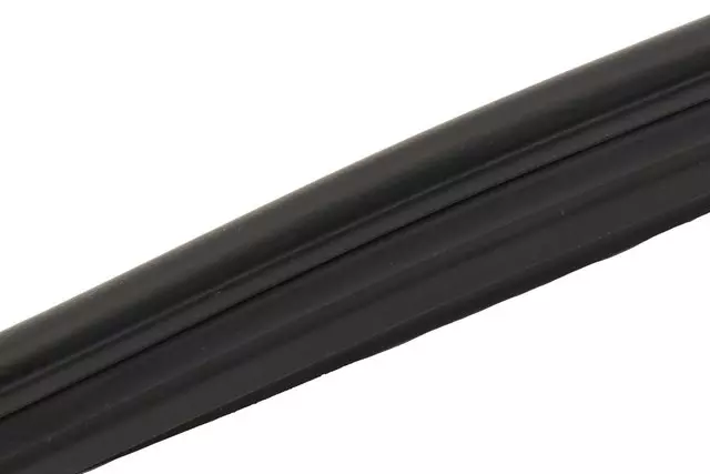Door Weather-Strip - GM (42474602)