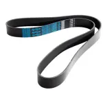5100608 - : POLY RIB BELT, DAYCO for DAYCO HYDRAULIC Image