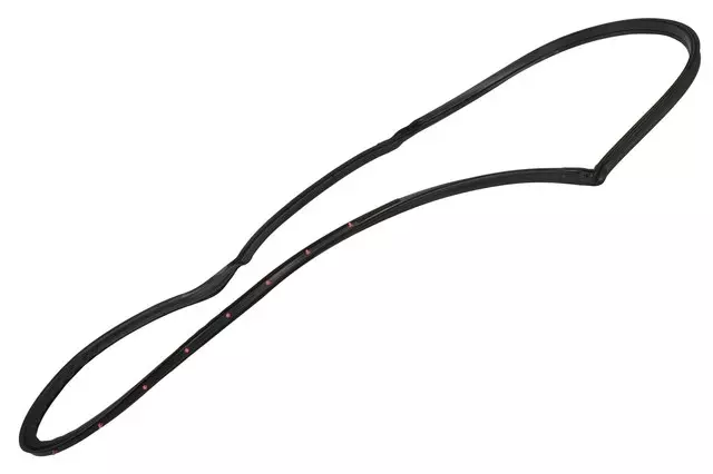 20805481 - Body: Door Weather-strip for Cadillac: CTS Image