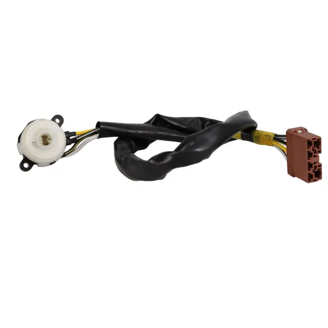 630028 - Ignition Systems: Ignition Switch for ROSTRA Image