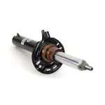 MR3856 - : Arnott Suspension Strut for Arnott Image