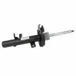 AST24719 - : Shock Absorber Assembly Front for Ford Image