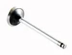 EM2431 - : Engine Exhaust Valve for Enginetech Image