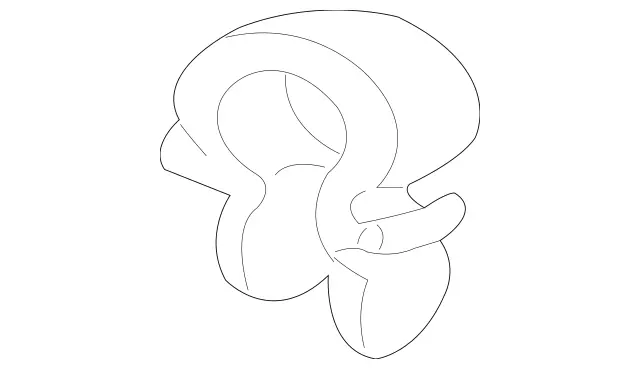 9955244 - Electrical Equipment and Instruments: Jaw Clamp for Mercedes-Benz: 180C, 190, 190D, 190E, 200, 200D, 220D, 230, 240D, 260E, 280, 280C, 280CE, 280E, 280S, 280SE, 280SEL, 300CE, 300D, 300E, 300SD, 300SE, 300SEL, 300SL, 300TD, 300TE, 380SE, 380SEC, 380SEL, 400E, 400SE, 400SEL, 450SEL, 500E, 500SEC, 500SEL, 500SL, 560SEC, 560SEL, 560SL, 600SEL, 600SL, AMG GT 43, AMG GT 53, AMG GT 63, AMG GT 63 S, AMG GT 63 S E Performance, C220, C230, C240, C250, C280, C300, C32 AMG, C320, C350, C43 AMG, C55 AMG, CL500, CL55 AMG, CLK320, CLK430, CLK500, CLK55 AMG, CLS400, CLS450, CLS53 AMG, CLS550, CLS63 AMG, CLS63 AMG S, E250, E300, E320, E350, E400, E420, E43 AMG, E430, E500, E53 AMG, E55 AMG, E550, E63 AMG, E63 AMG S, G500, G55 AMG, G550, G550 4x4, G580, G63 4x4 Squared AMG, G63 AMG, G65 AMG, GL320, GL550, GLE350, GLE450, GLE450e, GLE53 AMG, GLE580, GLE63 AMG S, GLS450, GLS580, GLS63 AMG, Maybach GLS600, ML320, ML350, ML430, ML450, ML500, ML55 AMG, ML550, ML63 AMG, S420, S430, S55 AMG, SL320, SLK230, SLK280, SLK300, SLK320 Image image