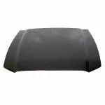 DR3Z16612B - Body: Hood for Ford: Mustang Image