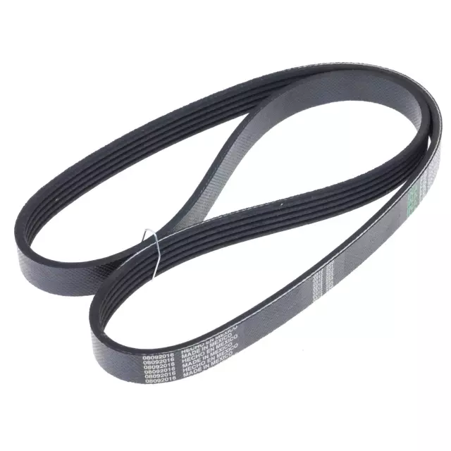 FB5K402 - : INA US Serpentine Belt for INA US Image