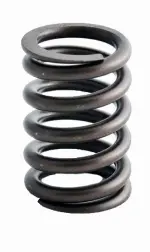 ERV1082 - : Engine Valve Spring for Enginetech Image