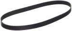 117206TA0A - : Serpentine Belt for Nissan Image