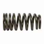 JR3Z6513B - : 2018-2023 Ford - Valve Springs for Ford: F-150, Mustang Image