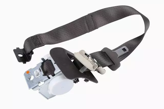 19353597 - Electrical: Outer Belt Assembly for Cadillac: Escalade ESV | Chevrolet: Suburban, Suburban 3500 HD | GMC: Yukon XL Image