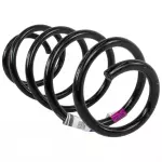 DG1Z5310N - Suspension: Coil Spring for Ford: Police Interceptor Sedan, Taurus Image