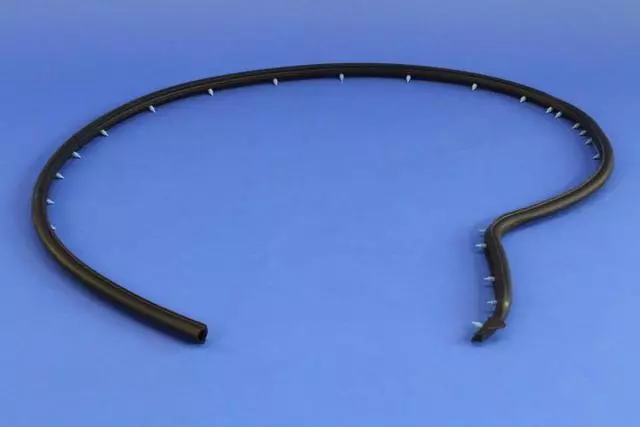 Door Weather-Strip - Mopar (68096403AC)