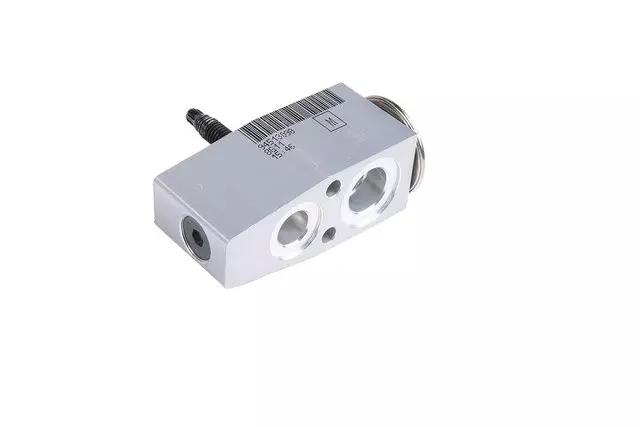 Air Conditioning Evaporator Thermal Expansion Valve Kit - GM (94513099)