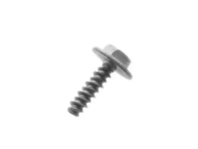 Fog Lamp Screw - Ford (W704874-S439)