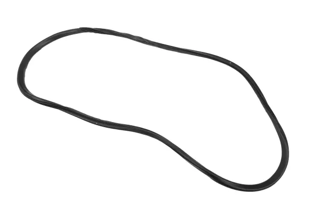 Rear Side Door Weatherstrip - GM (84921200)