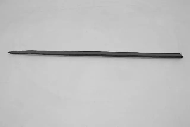 Front Door Molding - Mopar (1AS86SW1AD)