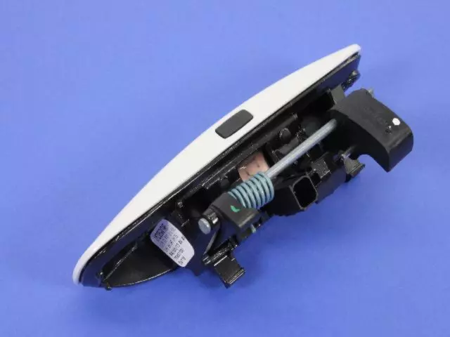 Front Door Exterior Handle, Left - Mopar (1MZ85GW7AM)