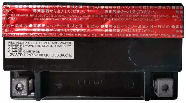 Vehicle Battery - ACDelco (ACTX14LBS)