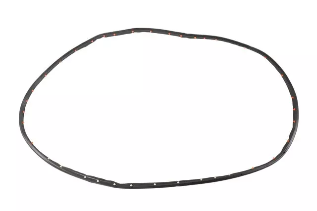 Door Weather-Strip - GM (84228135)