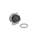 DP028 - : WATER PUMP-AUTO/LIGHT TRUCK, DAYCO for DAYCO HYDRAULIC Image