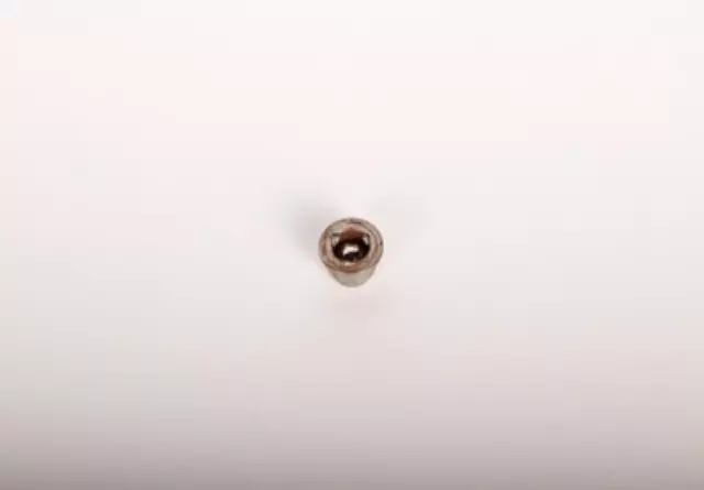 24205393 - Transmission: Automatic Transmission 3rd Clutch Piston Check Valve for ACDelco Image