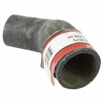 KM4679 - Belts &amp; Cooling: Motorcraftâ„¢ Radiator Coolant Hose for Ford: Mustang Image