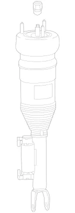 205320486889 - Springs, Suspension and Hydraulic Components: Air Spring Strut for Mercedes-Benz Image
