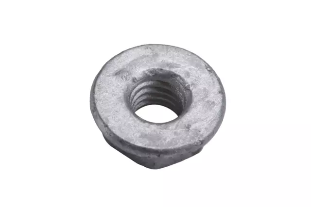19404929 - : F (S)Nut for GM Image
