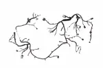42896939 - : F Harness for GM Image