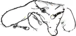 240179PE3A - : Harness-Body, No 2 for Nissan Image