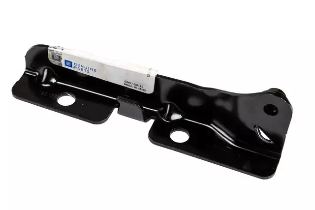 10330390 - Body: Hinge for Chevrolet: Impala, Impala Limited, Monte Carlo Image