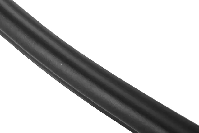 20944482 - Body: Weather-strip On Body for GM Image