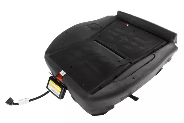 Seat Cushion Pad - GM (20824276)
