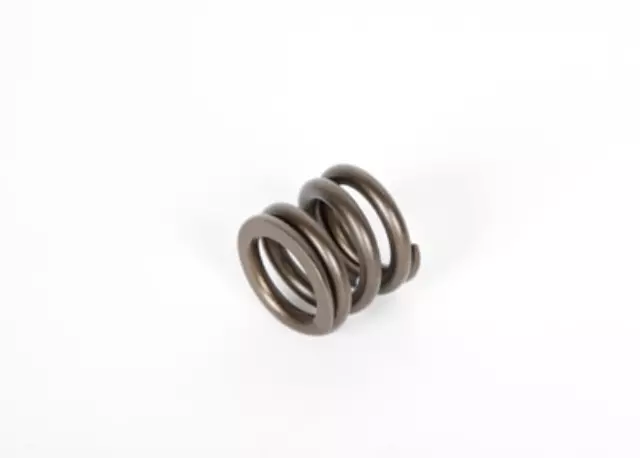 Automatic Transmission Manual 2-1 Band Servo Piston Cushion Spring - ACDelco (24208450)