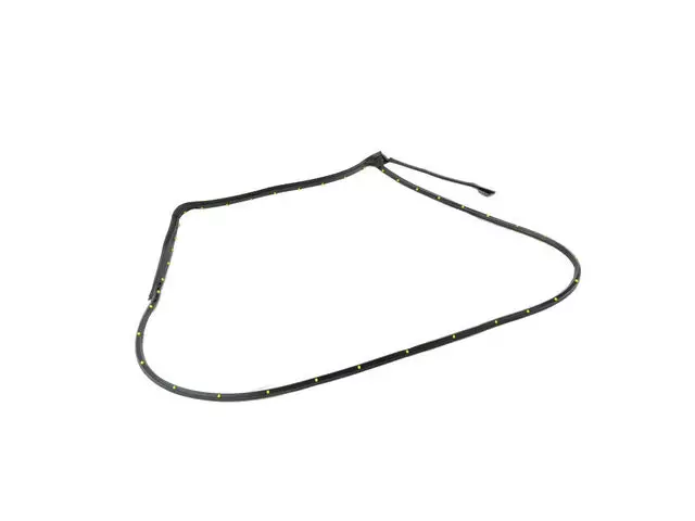 Rear Door Mounted Weatherstrip, Right - Mopar (55112362AI)