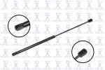 84255 - : Hood Lift Support for Focus Auto Parts Image